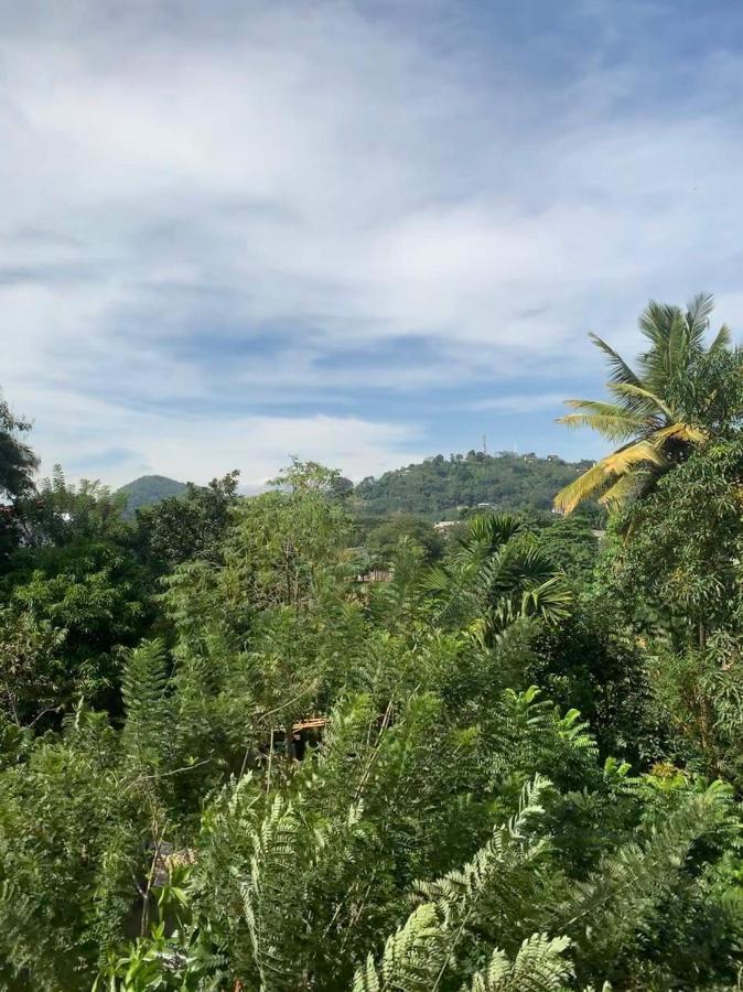 Sura Homestay 康提 外观 照片